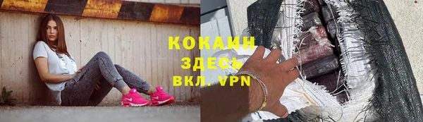 прущий лед Бородино