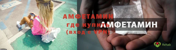 прущий лед Бородино