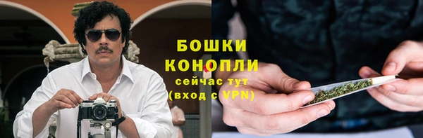 PSILOCYBIN Верхний Тагил