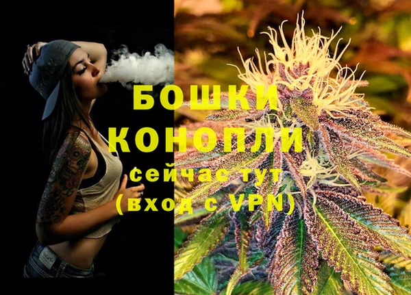гашик Покров