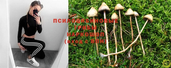 соль ск Володарск