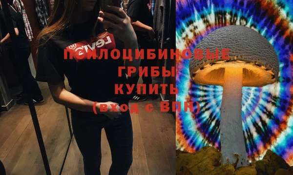 первитин Верея