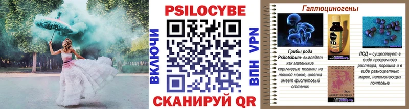 Купить  Чусовой  Галлюциногенные грибы MAGIC MUSHROOMS 