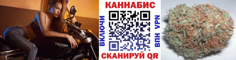 Конопля Bruce Banner  Купить где  Чусовой 